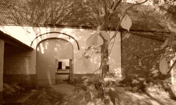Meer Bed & Breakfast | Discover B&B de Oude Winning: Guest Rated 9.8 with Pool
