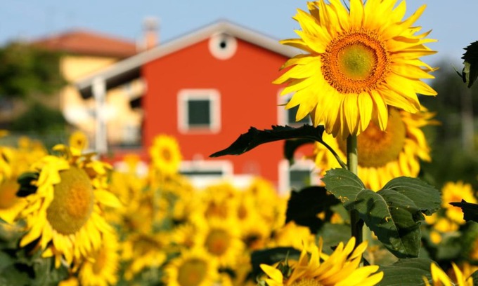 Osimo Bed & Breakfast | Experience Oceanfront Bliss at b&b DOREMI - Rated 9.1