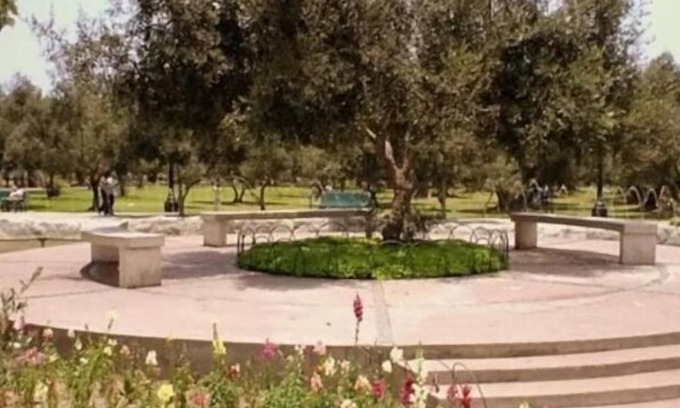 San Isidro Bed & Breakfast | Highly Rated B&B El Olivar with Spa and Breakfast Included