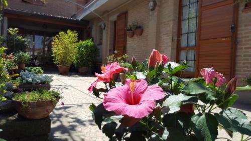 Porto Garibaldi Bed & Breakfast | Oceanfront B&B Ensileva Beach with Breakfast & Pet-Friendly Perks