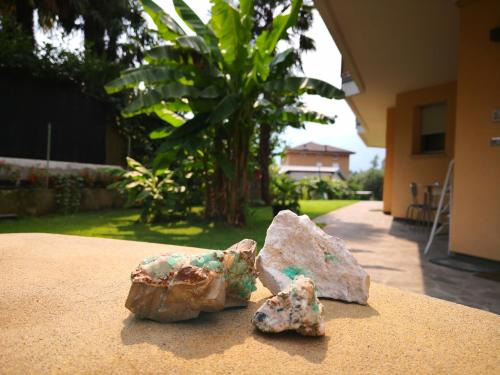 Bolognano-Vignole Bed & Breakfast | Guest Rated: B&B Esmeralda - Pet & Child Friendly Retreat