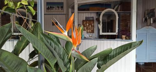 Hagnau House | Serene B&B Fischerstüble - Adults Only Retreat Awaits
