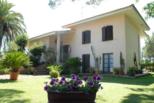 Arborea Bed & Breakfast | Oceanfront Retreat at B&B Fra e Fe - Rated 8.7/10
