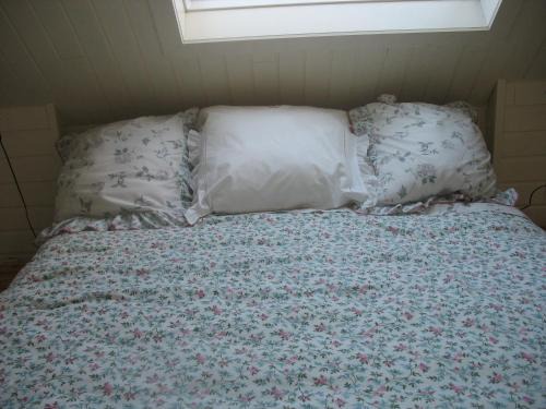 Langemark Bed & Breakfast | Top-Rated B&B Greenhouse 37 with Kitchen & Breakfast Included