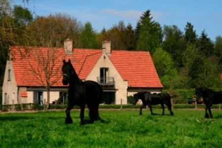 Hertsberge Bed & Breakfast | Inviting B&B Heerlijkhyd: Pool, Restaurant & Breakfast Included