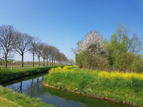 Lienden Bed & Breakfast | Top-Rated B&B Het Zwanennest with Family-Friendly Amenities