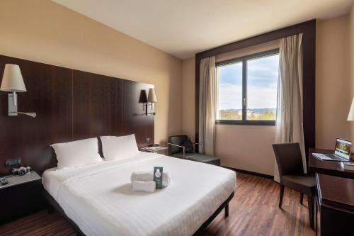 Arezzo Hotel | Cozy B&B Hotel Arezzo: Pet Friendly & Family-Oriented Stay
