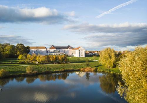 Magny-le-Hongre Hotel | Discover B&B HOTEL Near Disneyland Paris with Pet-Friendly Amenities