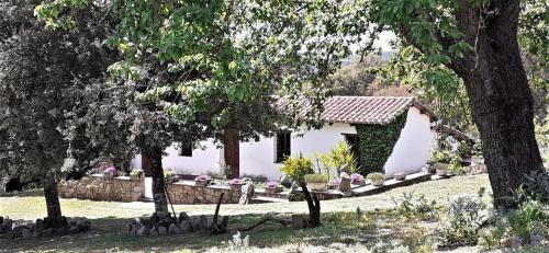 Sorgono Bed & Breakfast | Top-Rated B&B I Menhir: Family and Pet Friendly Stay