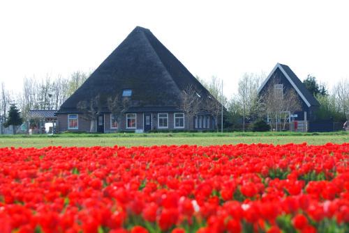 Sint Maartensvlotbrug Bed & Breakfast | Relax at B&B Idylle aan Zee with Wellness Studios & Ocean View