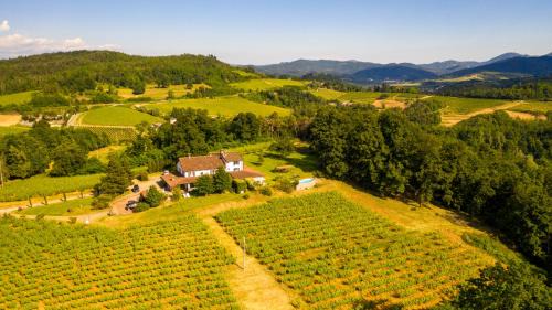 Gavi House | Discover B&B Il Poggio di Gavi with Oceanfront Views