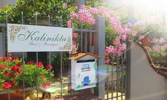 Marina di Ascea Bed & Breakfast | Pet-Friendly B&B Kalinìkta with Ocean View & Breakfast
