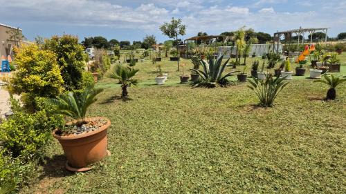 Sava Bed & Breakfast | Discover B&B L'Albero d'Oro: 10/10 Rated Retreat