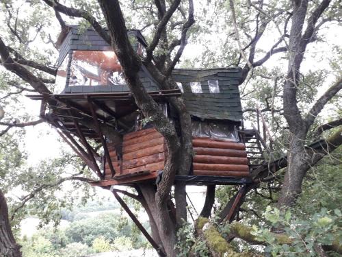 Mones Bed & Breakfast | Pet-Friendly B&B La Cabane Insolite with Oceanfront Views