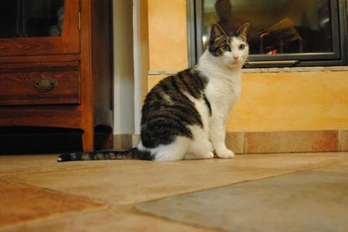 Aurora Bed & Breakfast | Inviting Stay at B&B la casa di Arturo - Rated 9.2/10