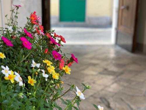 Santa Maria Capua Vetere Apartment | Pet-Friendly B&B La Corte: Guest Rated 9.3/10