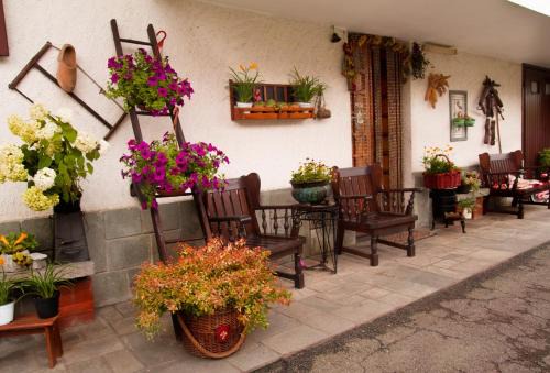 San Giusto Canavese Bed & Breakfast | Pet-Friendly Retreat at B&B La Gerbolina with Breakfast