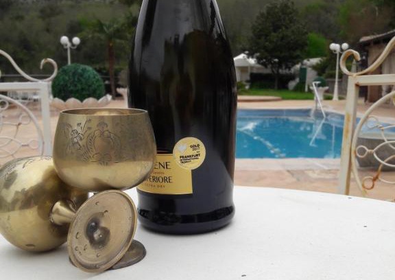 Marini Bed & Breakfast | Pet-Friendly B&B La Mimosa with Pool and Breakfast Included