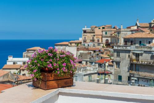 Cetraro Bed & Breakfast | Inviting B&B La Terrazza with Oceanfront Views & Breakfast