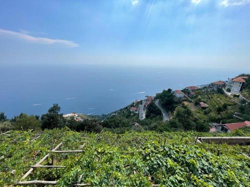 San Michele Bed & Breakfast | Family-Friendly Retreat at B&b La Vigna for Memorable Stays
