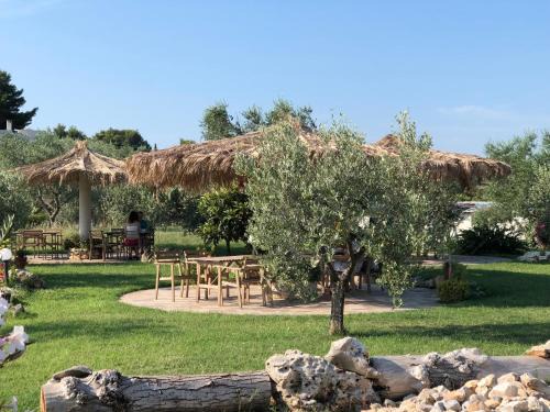 Defensola Bed & Breakfast | Exceptional B&B Le Cicale: Pet Friendly with Breakfast