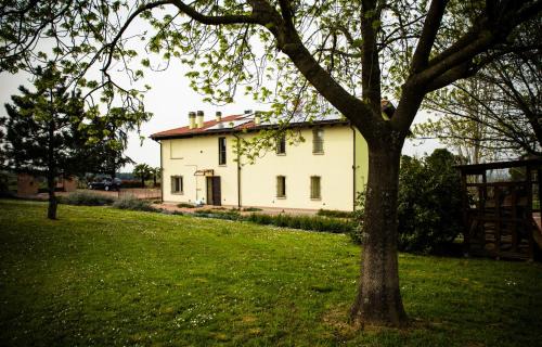 Dozza Bed & Breakfast | Discover B&B Magic: Pet-Friendly Getaway with Top Amenities
