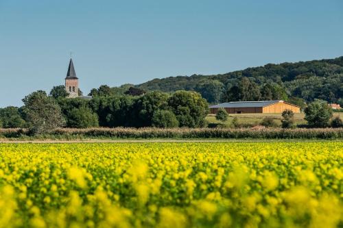 Oudenaarde Bed & Breakfast | Family-Friendly Escape at B@B Martinushoeve - Rated 8/10