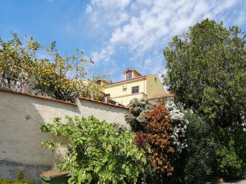 Salerno Bed & Breakfast | Top-Rated B&B Moscani: Ideal for Families and Pets