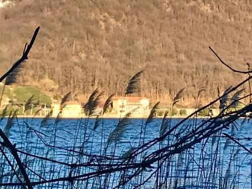 Gozzano Bed & Breakfast | Exceptional B&B Notte sul Lago: Pet-Friendly Retreat