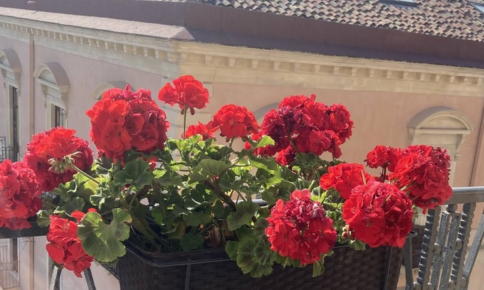 Catania City Centre Bed & Breakfast | Highly-Rated B&B Oriental Palace: Family-Friendly Comfort