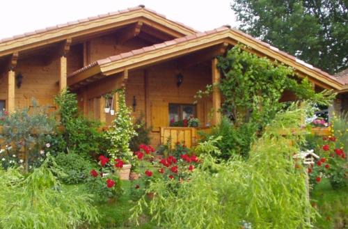 Villa Bartolomea Bed & Breakfast | Pet-Friendly B&B Paraiso Madera - Guest Rated 10/10