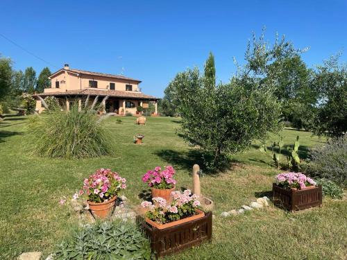 Coriano Bed & Breakfast | Outstanding B&B Rosaverde: Pet & Child Friendly Oasis