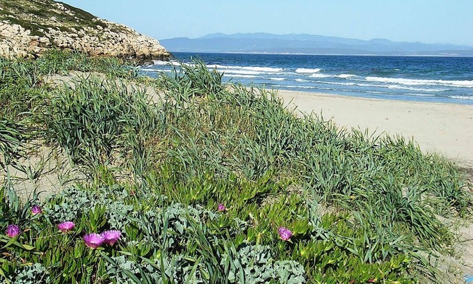 Sant'Antioco Bed & Breakfast | Idyllic B&B Semaforo di Capo Sperone with Ocean Views