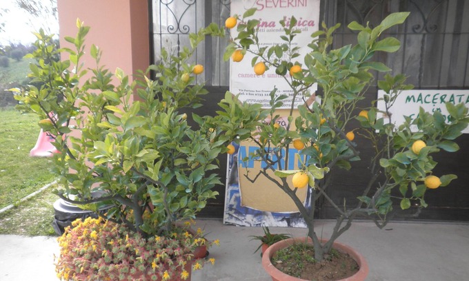 Morrovalle Bed & Breakfast | Inviting B&B Severini: Relax by the Pool and Enjoy Breakfast