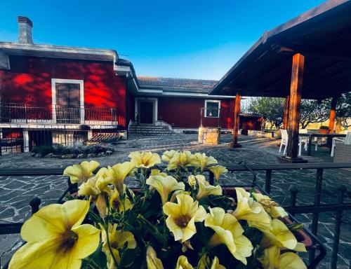 Scurcola Marsicana Bed & Breakfast | Discover B&B Sole e Luna: Family-Friendly with Hot Tub