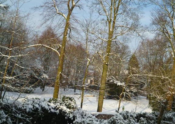Historical Center Bruges Bed & Breakfast | Top-Rated B&B Speelmansrei with Wheelchair Access