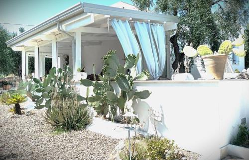 Mattinata Bed & Breakfast | Experience Tranquil Stays at B&B Sperlonga - Rated 9.6/10