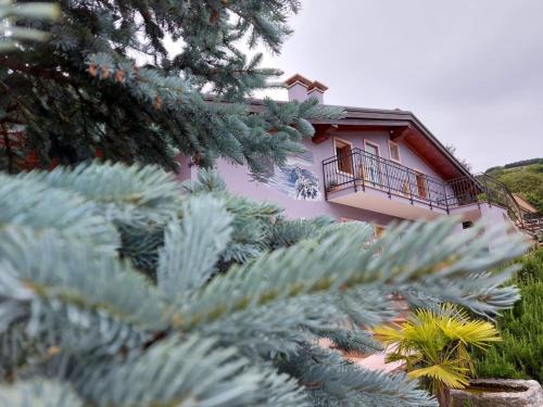 Conco Bed & Breakfast | Pet-Friendly B&B Stella Alpina with Oceanfront Spa Retreat