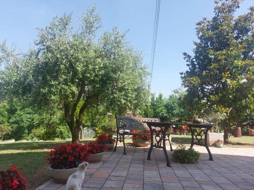Colcerasa Bed & Breakfast | B&B Straccialena