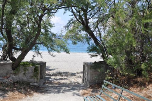 Annunziata Apartment | Beachfront Bliss at B&B Sulla Spiaggia with Ocean Views