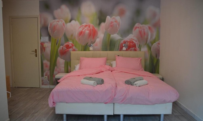 Epelaar Heide Bed & Breakfast | Pet-Friendly B&B The New Challenge with Breakfast Included