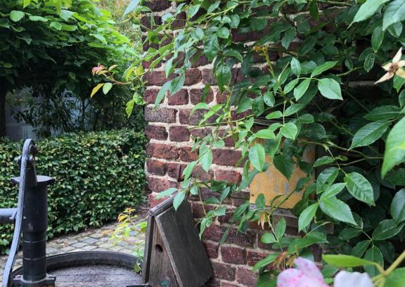 Vremde Bed & Breakfast | Discover B&B Vennehoeve: 4-Star Retreat with Pool & Hot Tub