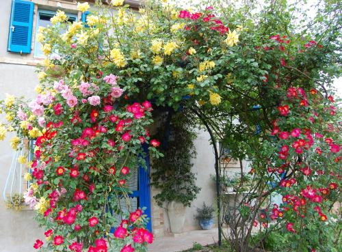 Monterubbiano House | Stunning B&B Vento di Rose: Oceanfront, Hot Tub & 9.8 Rating