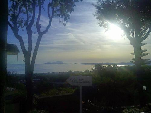 Ercolano Bed & Breakfast | Cozy B&B Villa Patrizia: Pet-Friendly with Breakfast Included