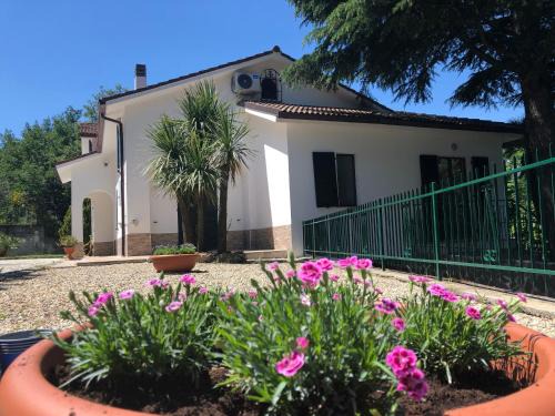 Boissano Bed & Breakfast | Cozy B&B Zac House: Pet-Friendly with Breakfast Included
