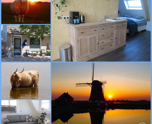 Municipality of Texel Bed & Breakfast | Top-Rated Stay at B&B Zonnedael - Guests Love It!