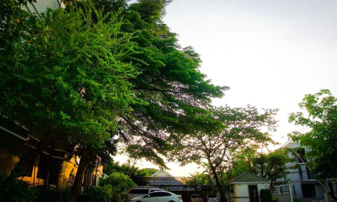 Rangsit Apartment | Cozy Baan Boonanan Apartment - Child Friendly Retreat