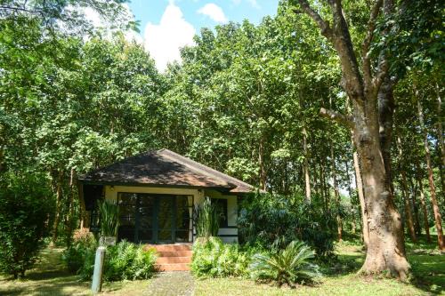 Phrao House | Pet-Friendly Baan Korbsuk Teak Cabin - Ideal for Families