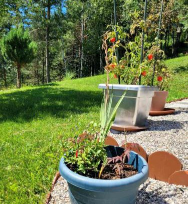 Vidrga House | Exceptional Family Retreat at Babičina hišica - 4 Star Stay