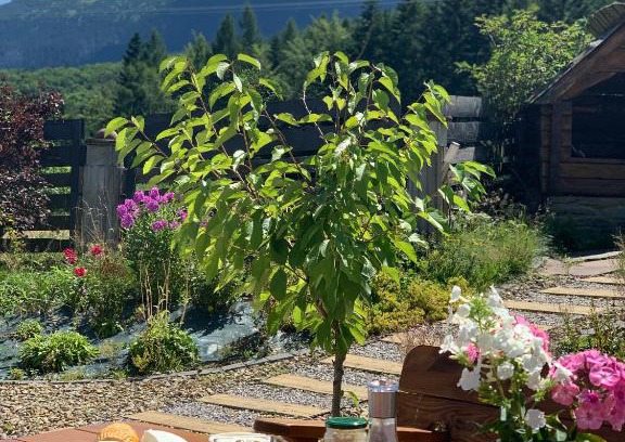 Zawoja Villa | Babie Zacisze: 10/10 Rated Getaway with Pool & Pet Access